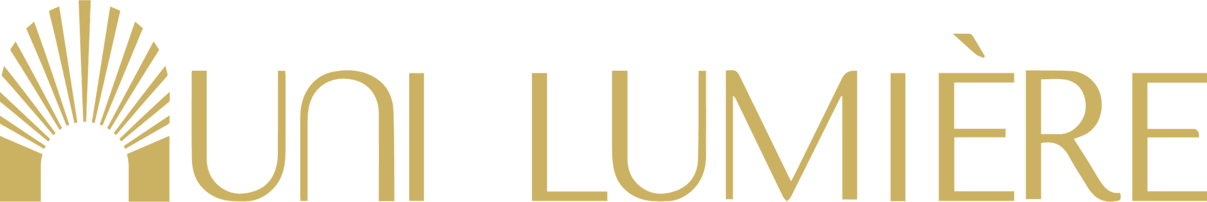 Uni Lumière